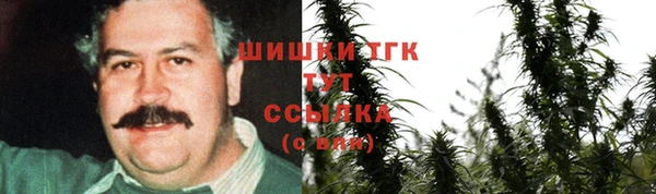 шишки Осинники