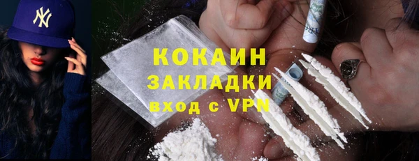 шишки Осинники