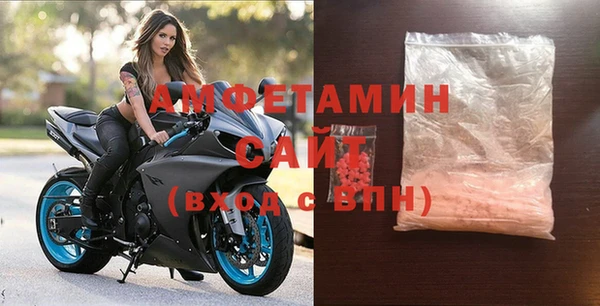 шишки Осинники