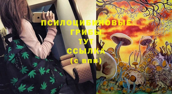 a pvp Весьегонск