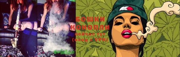 шишки Осинники