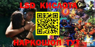 мдпв Донской