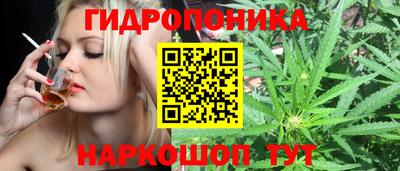 мдпв Донской