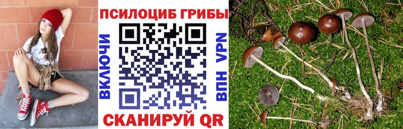 Псилоцибиновые грибы Magic Shrooms  Кумертау 
