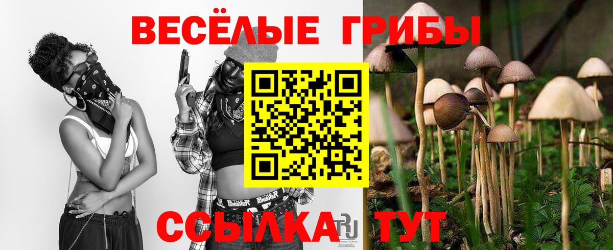 Псилоцибиновые грибы прущие грибы Кумертау
