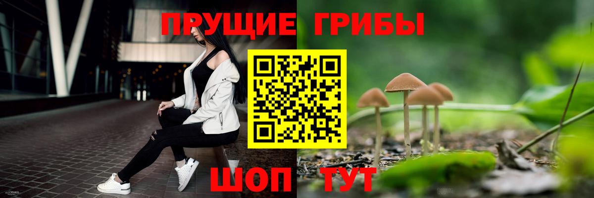 Кумертау  купить закладку  Вход с VPN  Псилоцибиновые грибы ЛСД 